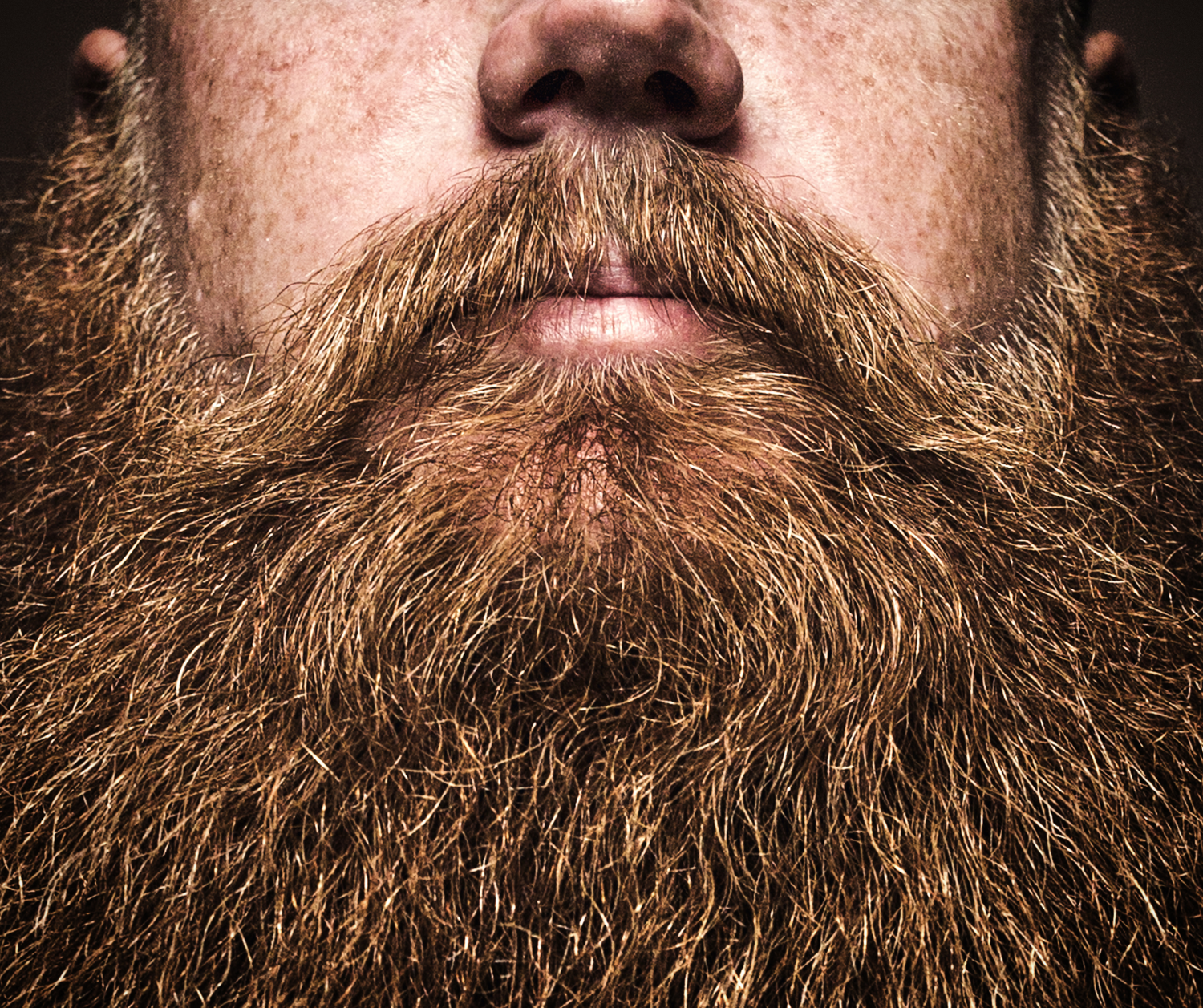 9 Things No One Tells You About Growing a Beard