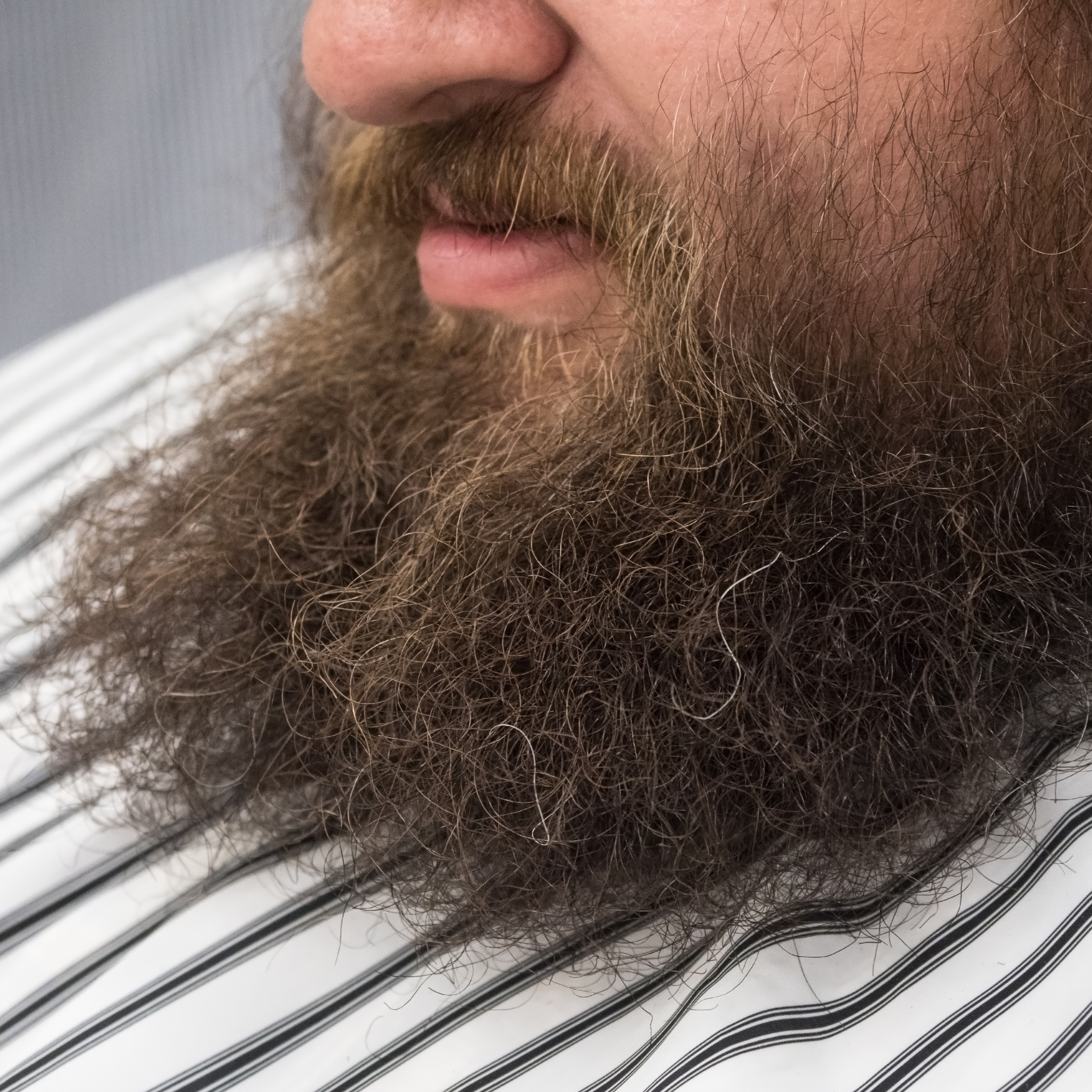 Unruly & Frizzy Beard