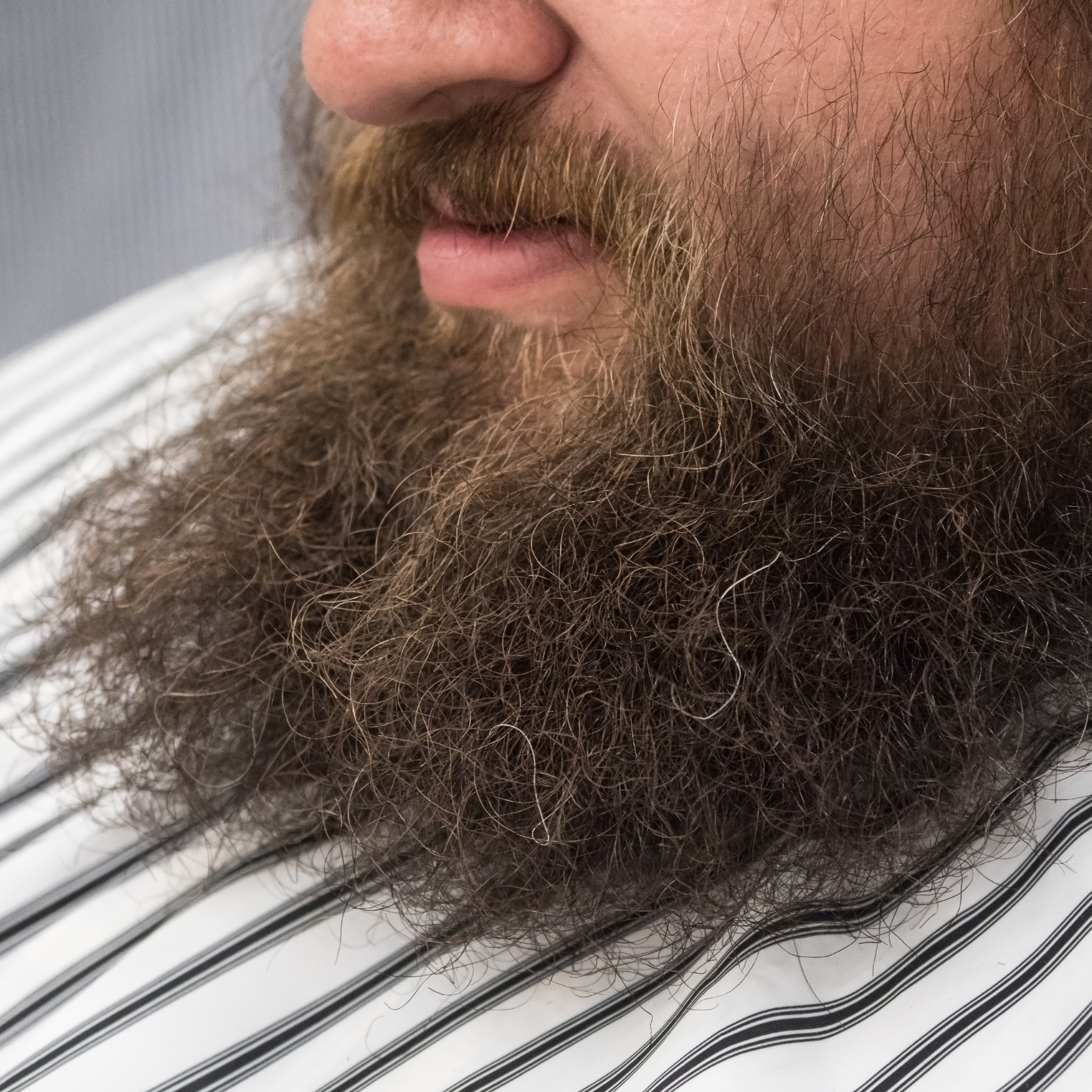 Unruly & Frizzy Beard